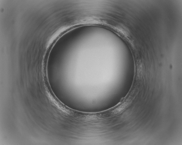 X0000055511422200509091331