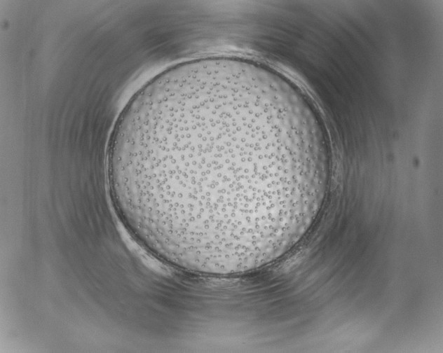 X0000055511439200509091331