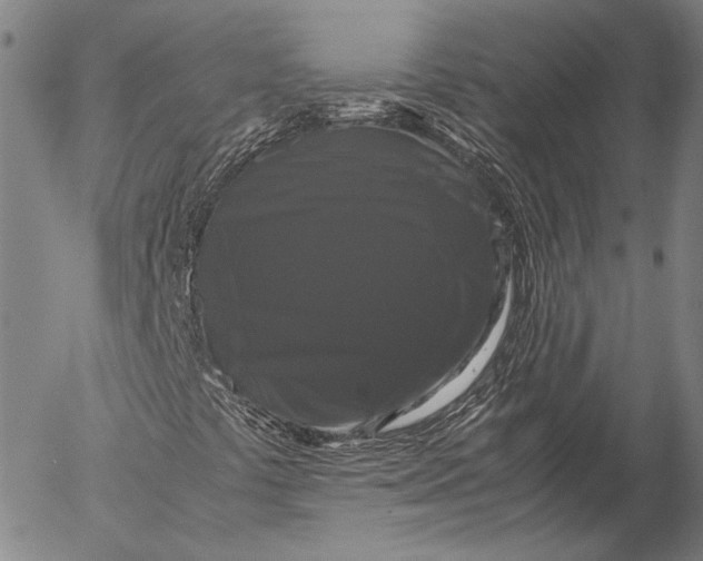 X0000055511441200509091330