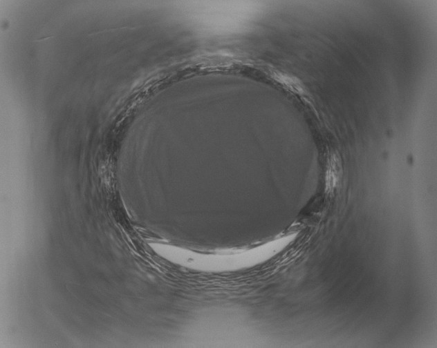 X0000055511445200509091330