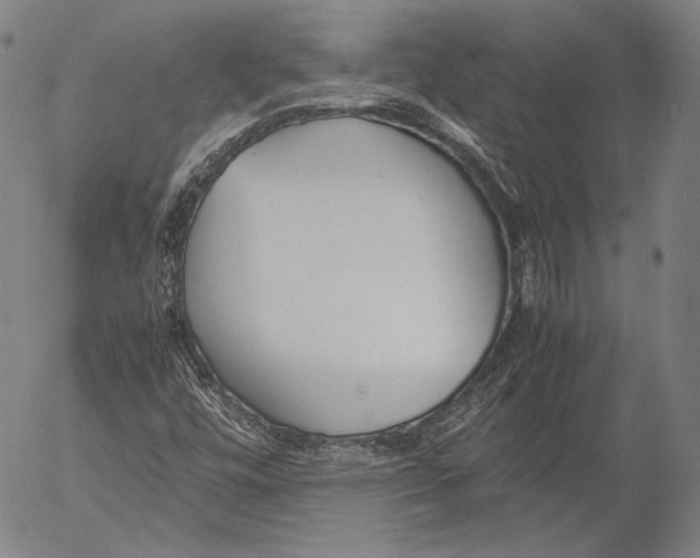 X0000055511448200509091330