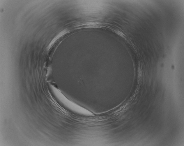 X0000055511450200509091330