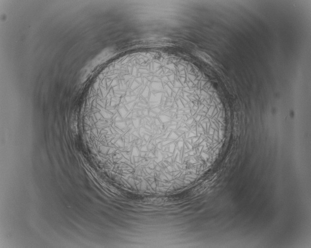 X0000055511451200509091330