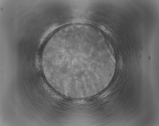 X0000055511454200509091330