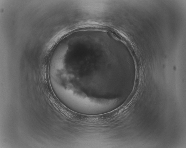 X0000055511455200509091330