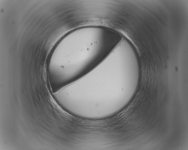 X0000055511468200509091330