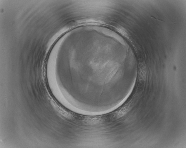 X0000055511474200509091330