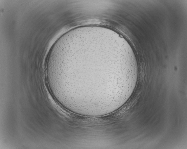 X0000055511475200509091330