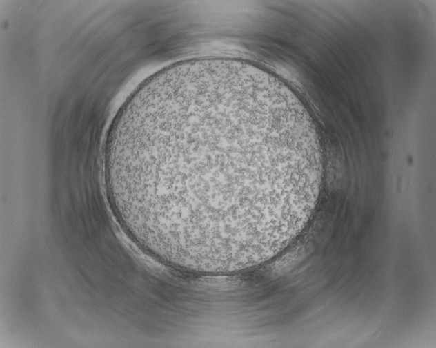 X0000055511478200509091330