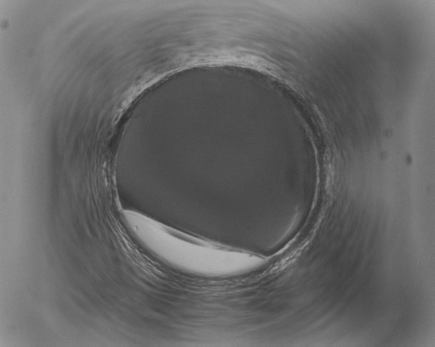 X0000055511497200509091329