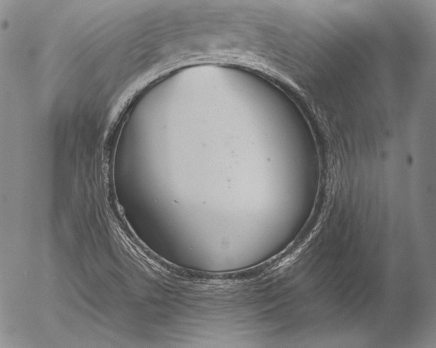 X0000055511506200509091329
