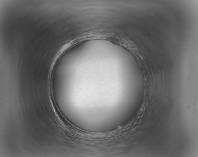 X0000055520003200508120834