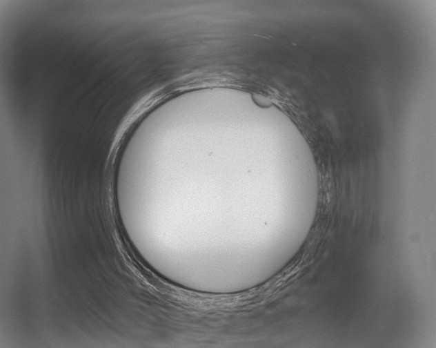 X0000055520004200508120834