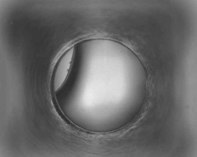 X0000055520007200508120834