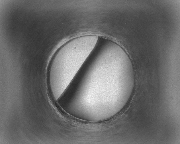 X0000055520008200508120834