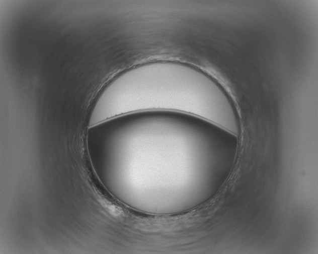 X0000055520009200508120834
