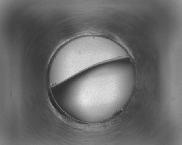 X0000055520011200508120834