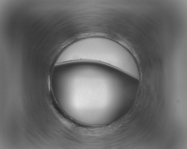 X0000055520013200508120834