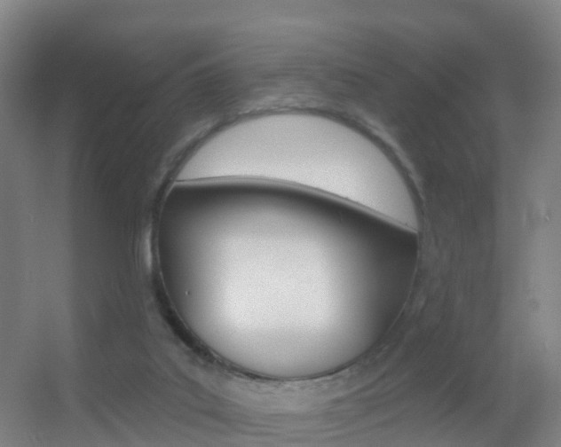 X0000055520019200508120833