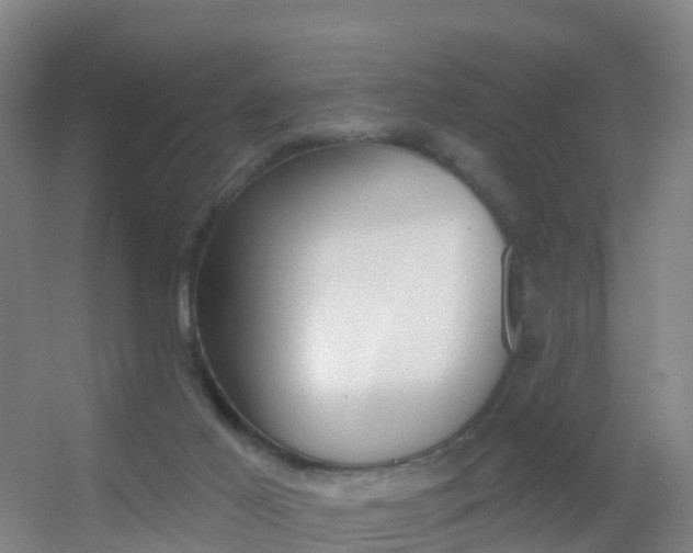 X0000055520021200508120833
