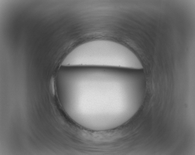 X0000055520022200508120833