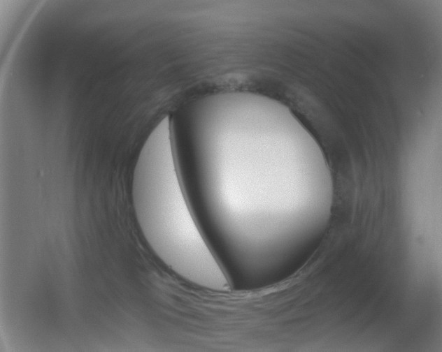 X0000055520037200508120833