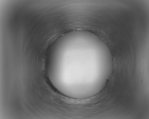 X0000055520043200508120833