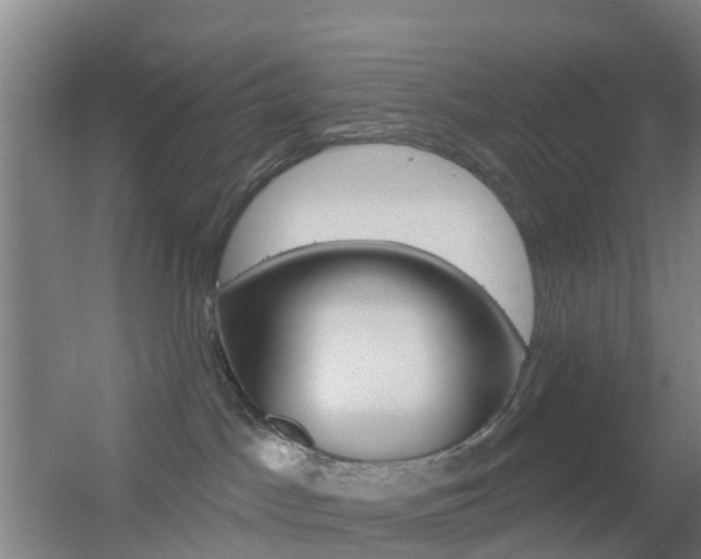 X0000055520045200508120833