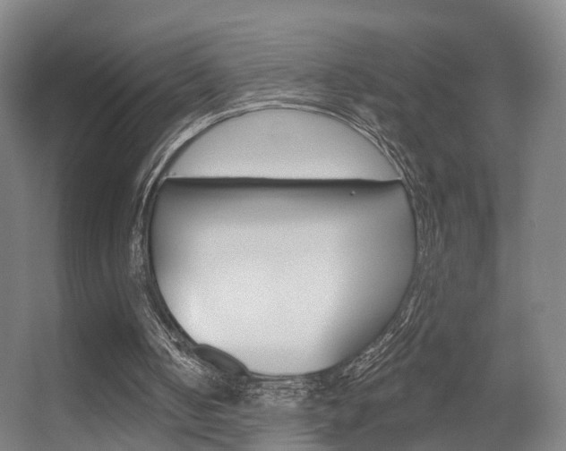 X0000055520050200508120832