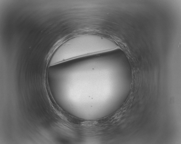 X0000055520051200508120832