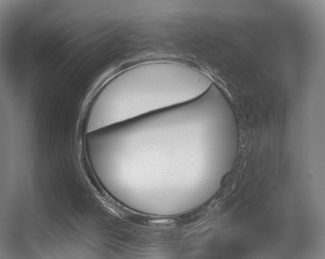 X0000055520053200508120832
