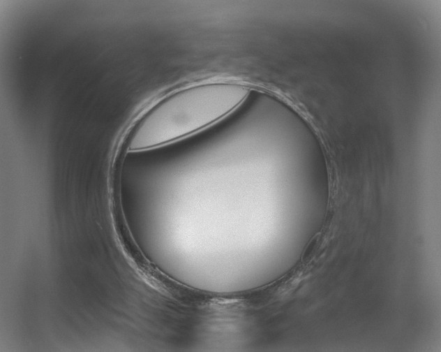 X0000055520055200508120832