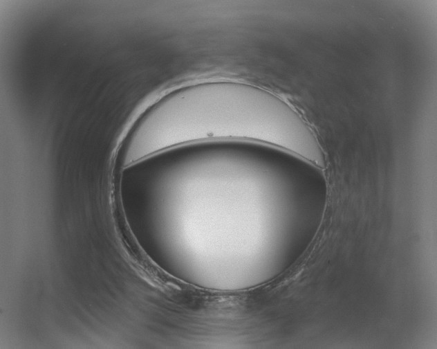 X0000055520056200508120832