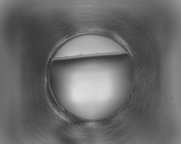 X0000055520059200508120832