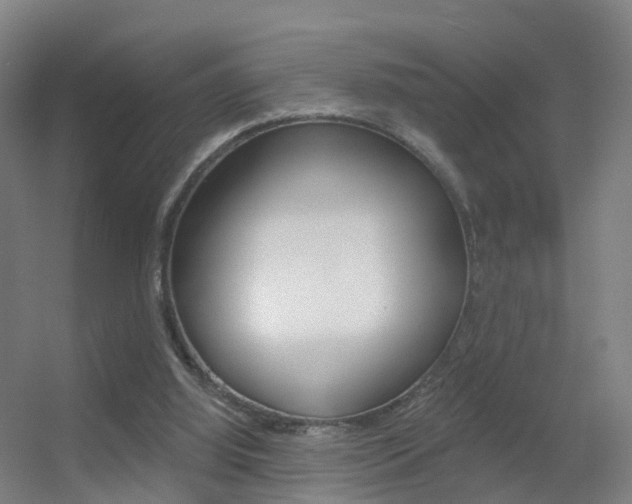 X0000055520060200508120832