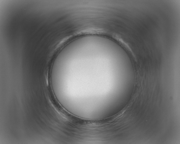 X0000055520062200508120832