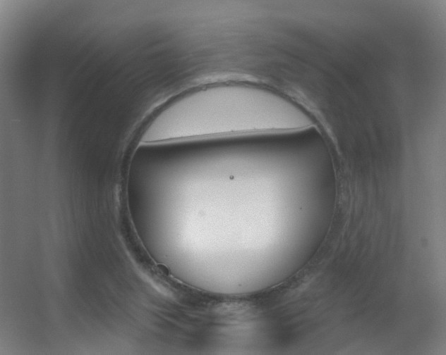 X0000055520063200508120832