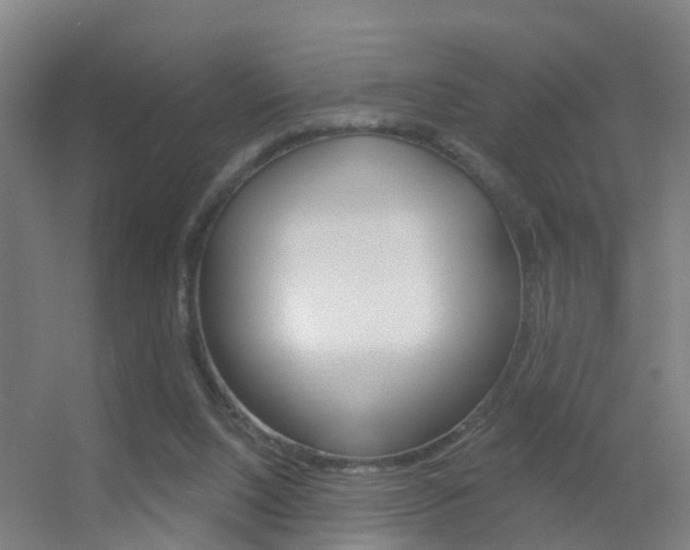 X0000055520064200508120832