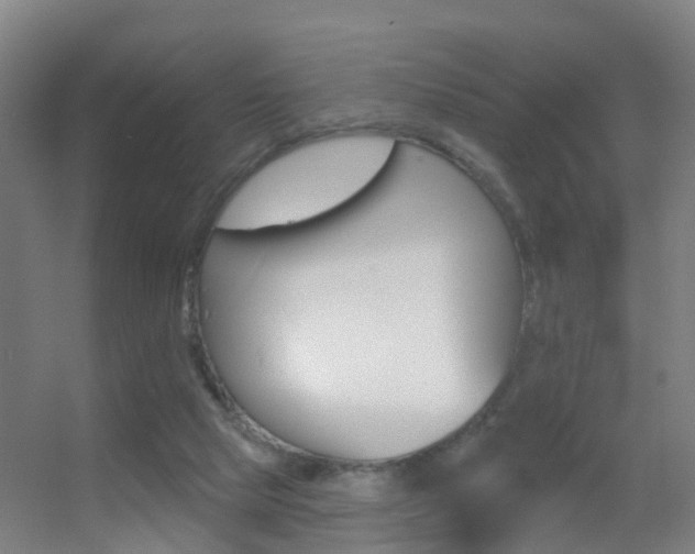 X0000055520065200508120832