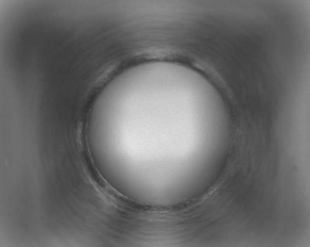 X0000055520066200508120832