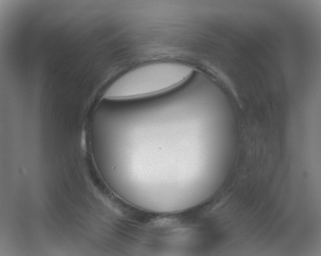 X0000055520067200508120832
