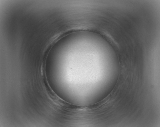 X0000055520068200508120832