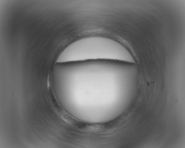 X0000055520069200508120833