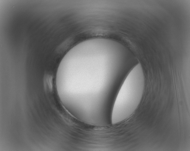 X0000055520070200508120833