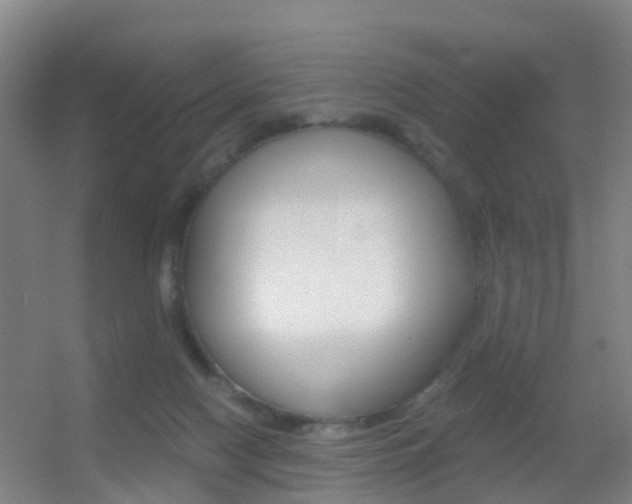 X0000055520074200508120833