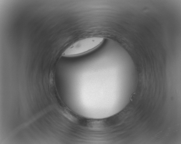 X0000055520081200508120833