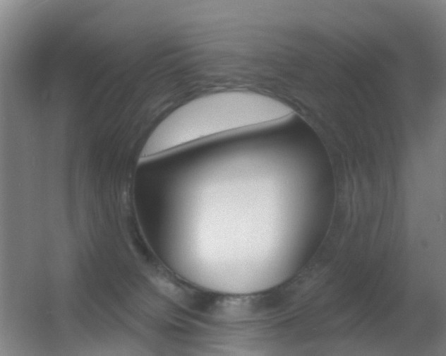 X0000055520084200508120833