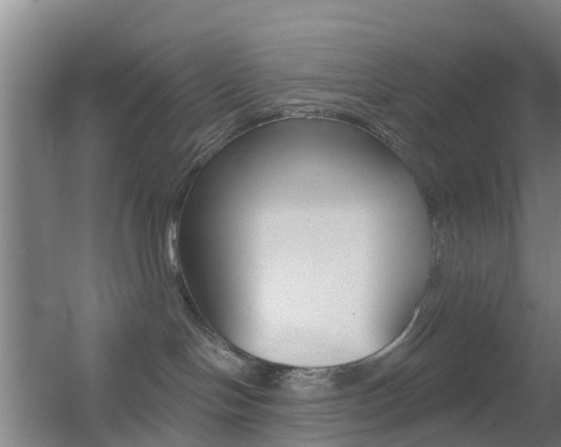 X0000055520094200508120833