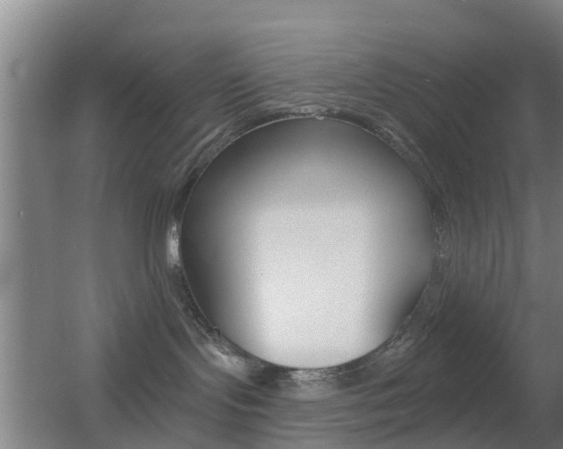X0000055520095200508120833