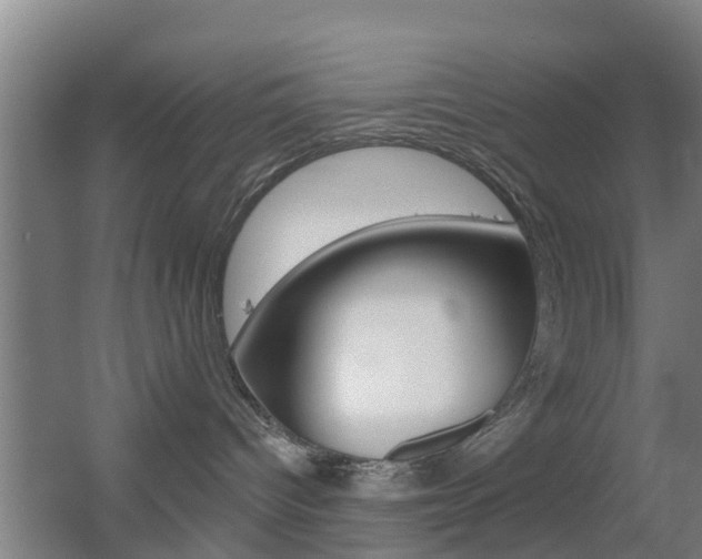 X0000055520096200508120833